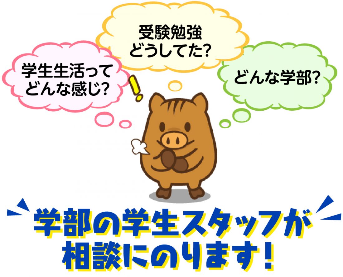 学部の学生スタッフが相談にのります！